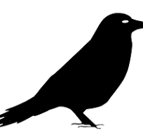 Crowlingo Identify and analyze threats from online conversations.