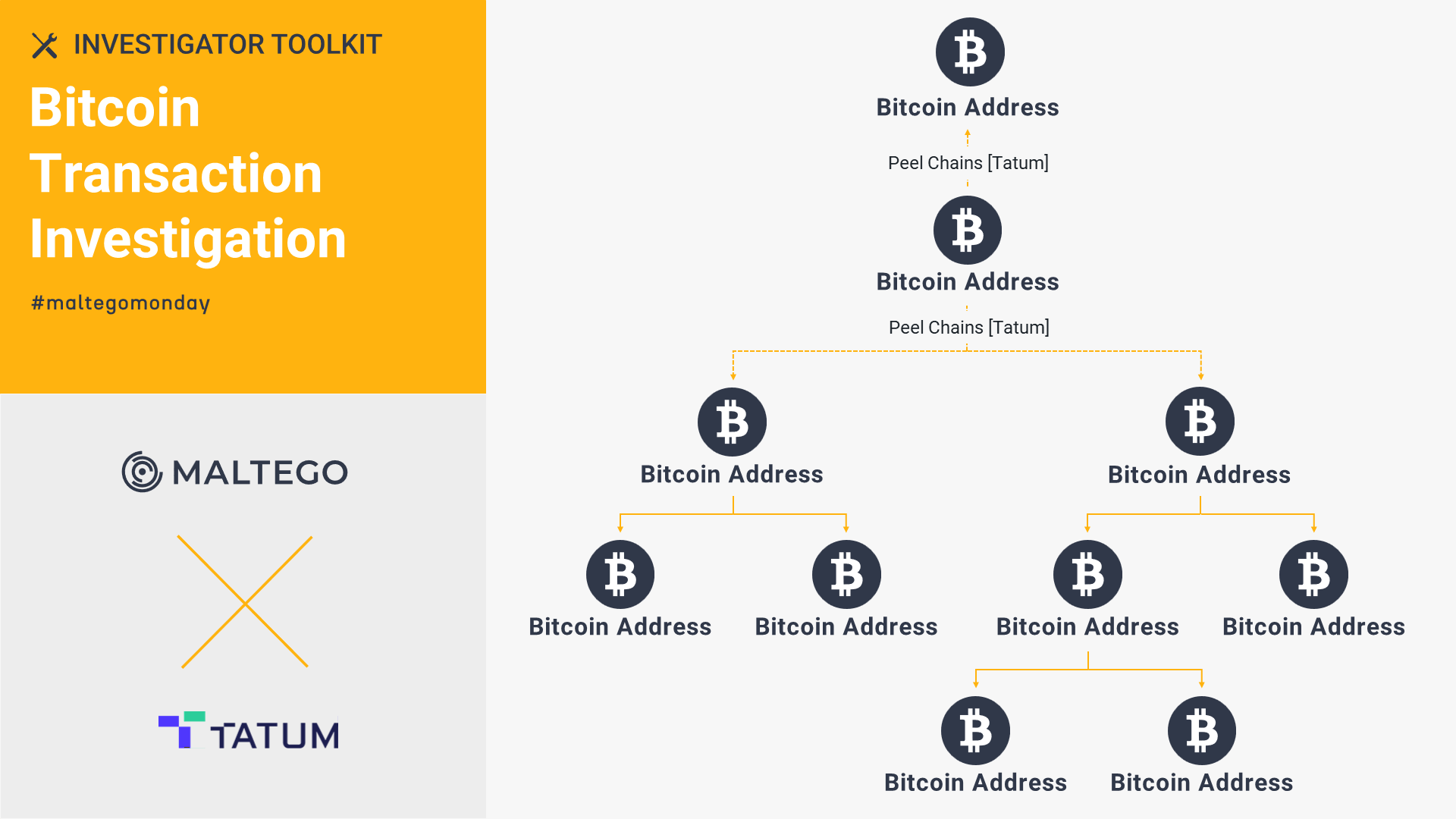 Tatum Blockchain Explorer: Bitcoin Transaction Investigation